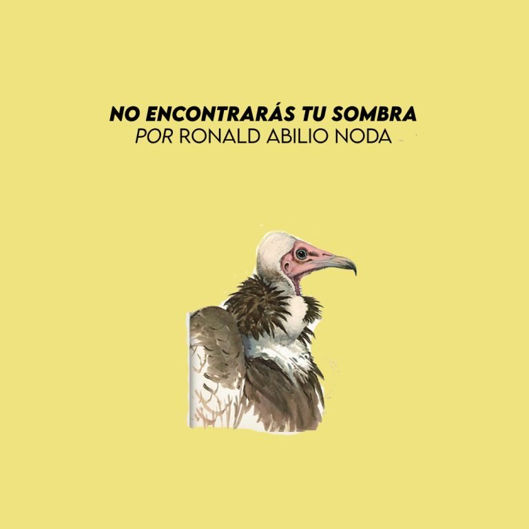No encontrarás tu sombra…