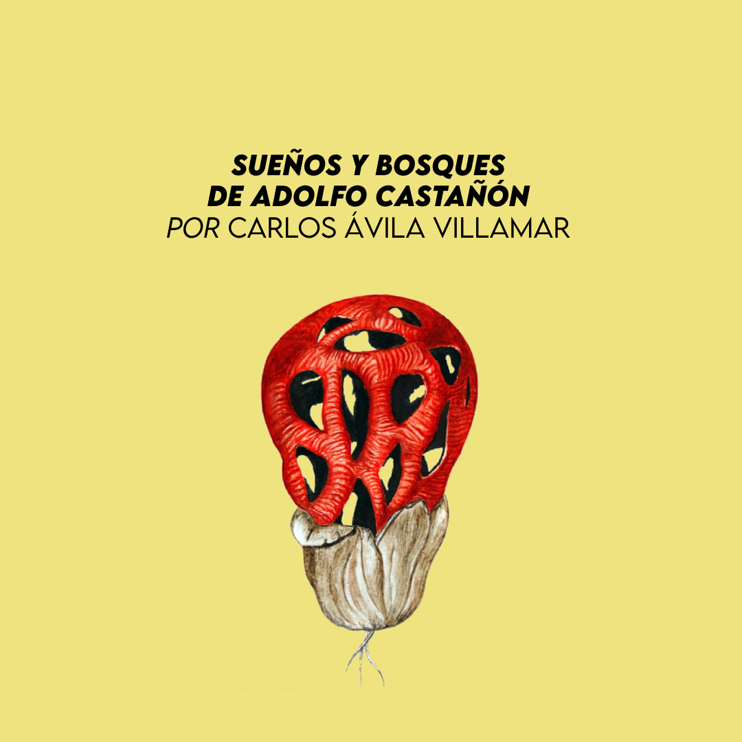 Sueños y bosques de Adolfo Castañón